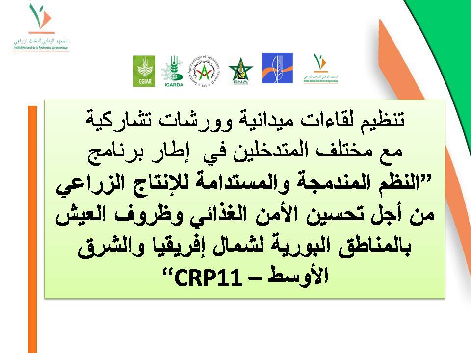 ورشات تواصلية، دجنبر 2013