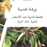 ورقة تقنية حول اللفحة النارية عند الأشجار المثمرة ذات البزرة