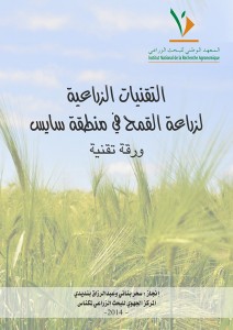 ورقة تقنیة : التقنیات الزراعیة لزراعة القمح في منطقة سایس