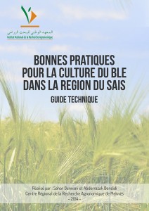 BONNES PRATIQUES POUR LA CULTURE DU BLE : REGION DU SAIS