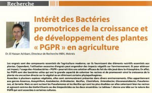 Résumé de l'Article de Dr Achbani dans Agriculture du Maghreb N° 84 d'Avril 2015