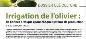 Article "Irrigation de l’olivier : de bonnes pratiques pour chaque système de production" signé par Par Dr Rachid Razouk (chercheur au CRRA Meknès)