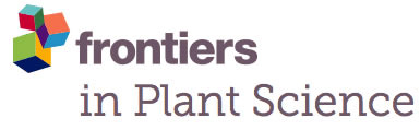 Frontiers in plant science